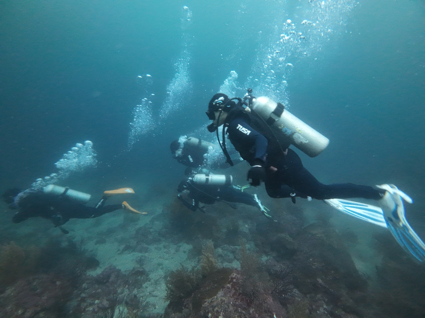 [RIS] 깨끗한 제주 바다 만들기
